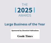large business of the year 2025
